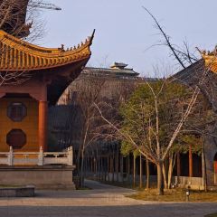 Qisu Court User Photo