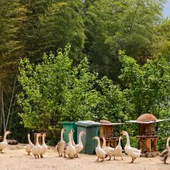 山里人家(黄尾立交桥店) User Photo