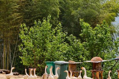 山里人家(黄尾立交桥店)