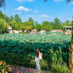 玛歌庄园·白鹤湖火锅公园(武胜店) User Photo