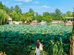 瑪歌莊園·白鶴湖火鍋公園