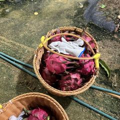 虎婆香草鴨·海南大排檔（清水灣美食街店）張用戶圖片