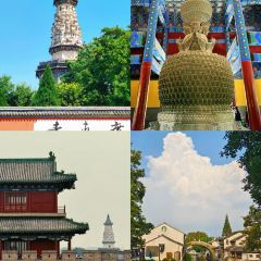 公园和尚豆干面 User Photo