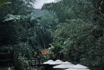 安吉听涧山川设计民宿·听涧私厨餐厅 User Photo