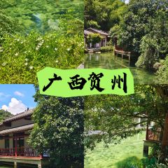 瑶妃油茶餐馆(八里街店) User Photo