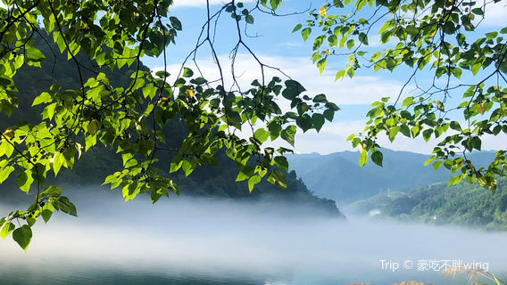 xiao dong jiang dong an xian jing qu