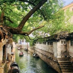 仓桥直街臭豆腐 User Photo