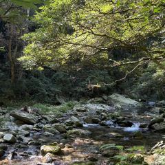 SHANGXILEICHA User Photo