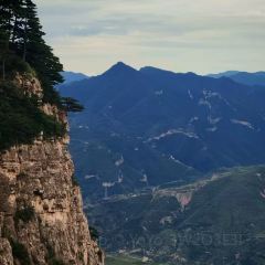 GU LOU SLICED NOODLES User Photo