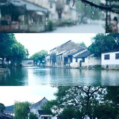 LANTINGJI·SHAOXINGCAI User Photo