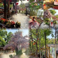 芙蓉裡•小漁村 （金星路店）張用戶圖片