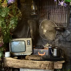 幽兰落 User Photo