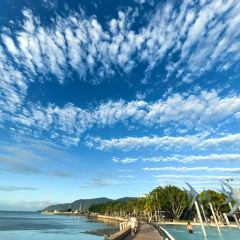 Prawn Star Cairns User Photo