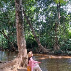 Dusun Tok Wak Desa, User Photo