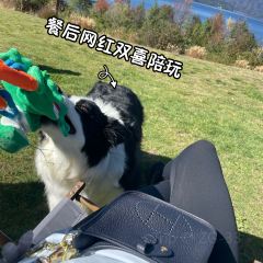 千山继·坨坨小馆·传统云南菜 User Photo