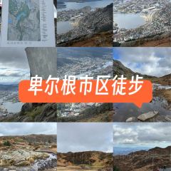 Skyskraperen張用戶圖片