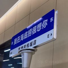 海底撈火鍋(青山湖萬達店)張用戶圖片