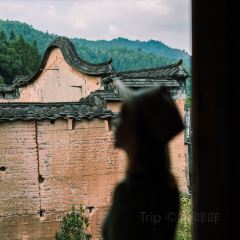 廈地咖啡屋張用戶圖片