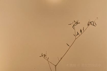 FRANKY ESPRESSO弗蘭克咖啡