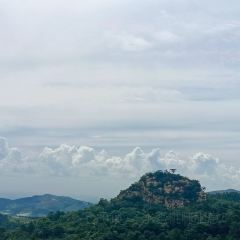 老龐家水餡包子館張用戶圖片