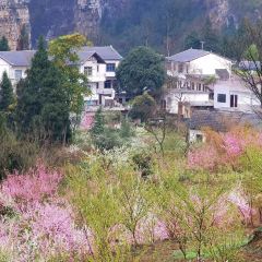 WU MENG SHAN 여행 사진