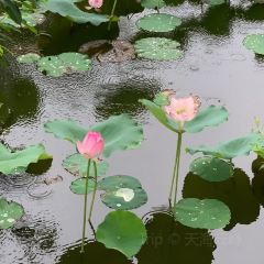 luckincoffee瑞幸咖啡（華貿大廈店）張用戶圖片