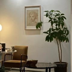 早鸟咖啡 Early Birdie(清泉坝店) User Photo