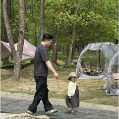 深林之梦·咖啡 User Photo