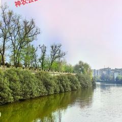 馬坪老汪拐子飯(迎賓大道)張用戶圖片