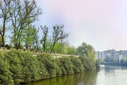 Mapinglaowangguaizi Rice (yingbindadao)