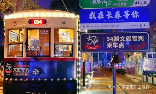54th Cultural Tourism Special Train