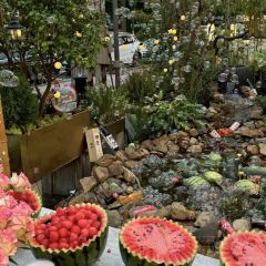 N·Father User Photo