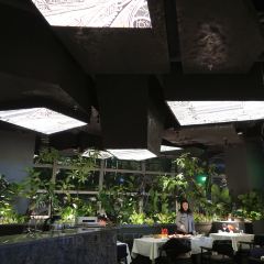 BIANCHI PLUS白安其(环球金融中心店) User Photo