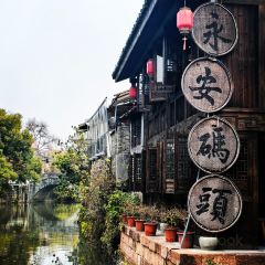 早茶街 User Photo