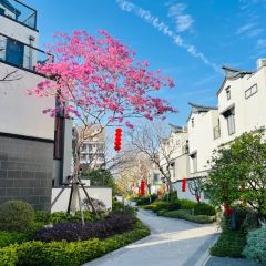 璞味特色餐廳張用戶圖片