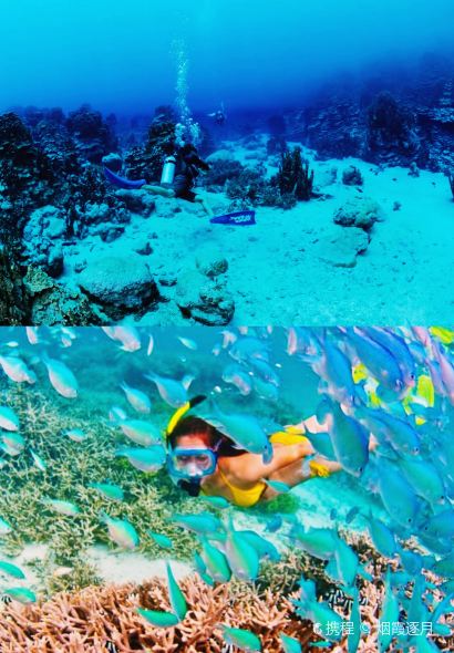 Meskla Dos (Across Kmart)