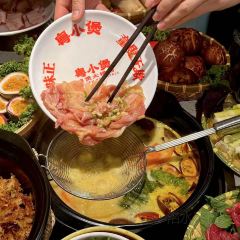 粤小煲鲜汤猪肚鸡(锦艺城店) User Photo