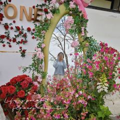 onlyone User Photo
