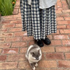 花間映月民宿·餐廳張用戶圖片