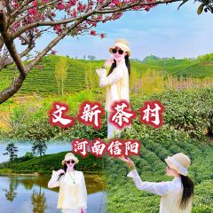 WEN XIN CHA ZHUANG YUAN User Photo