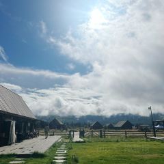 喀纳斯花间坊 User Photo