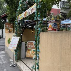 boheng 55 User Photo