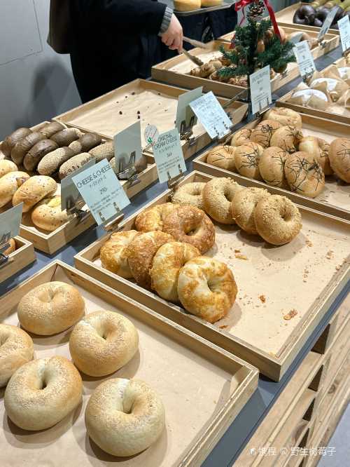 green RABBIT BAGELS