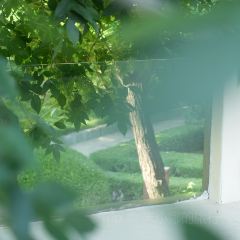 Hide&Seek User Photo