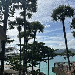 The Commune | Terrace & Bar User Photo