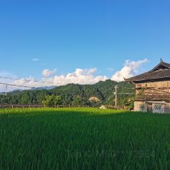 一山树屋咖啡营地 User Photo