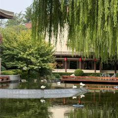 西安唐華華邑飯店（大雁塔大唐不夜城店）·彩豐樓中餐廳張用戶圖片