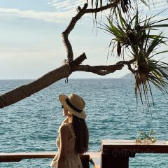 The Commune | Terrace & Bar User Photo