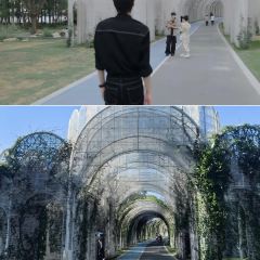 半两·咖啡书店·浮生是杯酒 User Photo