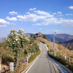 伴山酒店咖啡厅 User Photo